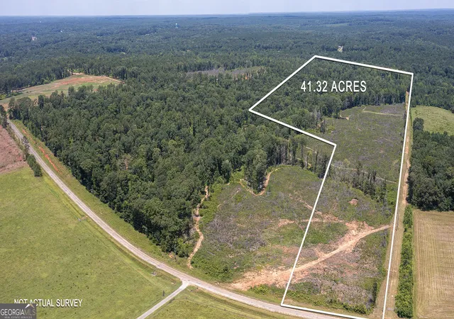 Homes for sale in Flovilla, GA | Lot 7 Mayfield Rd, Flovilla, GA 30216 | MLS# 10575832