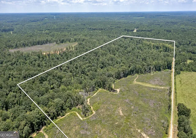Homes for sale in Flovilla, GA | Lot 7 Mayfield Rd, Flovilla, GA 30216 | MLS# 10575832