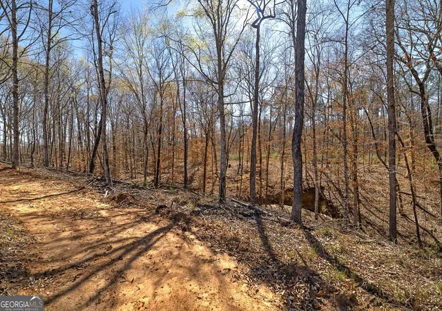 Homes for sale in Flovilla, GA | Lot 7 Mayfield Rd, Flovilla, GA 30216 | MLS# 10575832