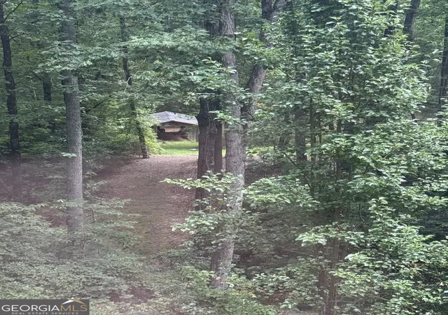 11th image of 86 White Pines Rd, Cleveland, GA 30528 | MLS# 10574817