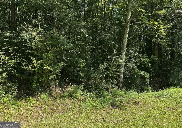 2nd image of 00 Overbrook Dr, Temple, GA 30179 | MLS# 10832844