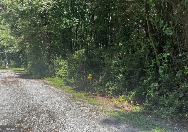5th image of 00 Overbrook Dr, Temple, GA 30179 | MLS# 10832844