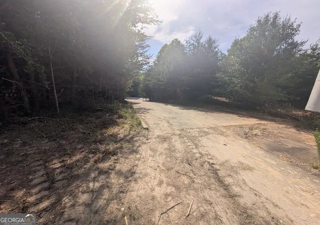 4th image of 0 Hwy 75 S Cleveland Hwy, Cleveland, GA 30528 | MLS# 10752896