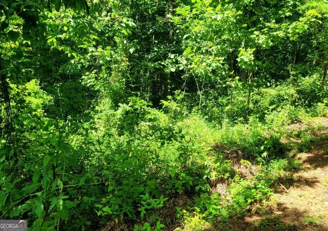 4th image of 0 High Cliff Rd, Jasper, GA 30143 | MLS# 10811951