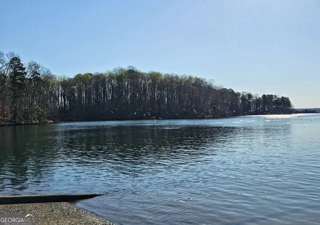 58th image of 8460 Bethel Ridge Ct, Gainesville, GA 30506 | MLS# 10827413