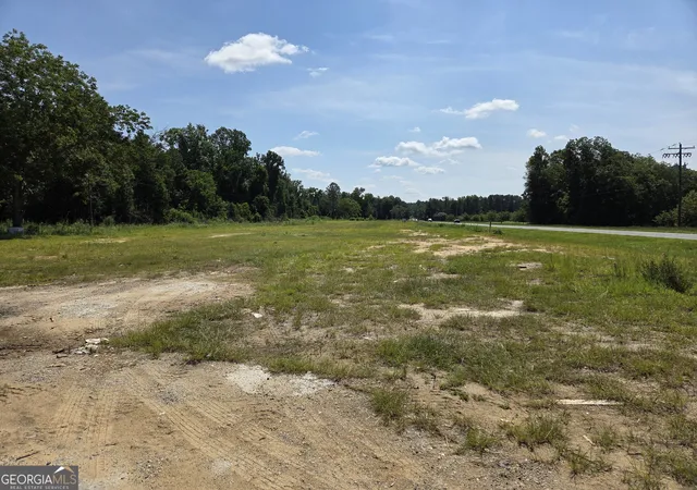 Homes for sale in Swainsboro, GA | 0 E Hwy 80, Swainsboro, GA 30401 | MLS# 10802211