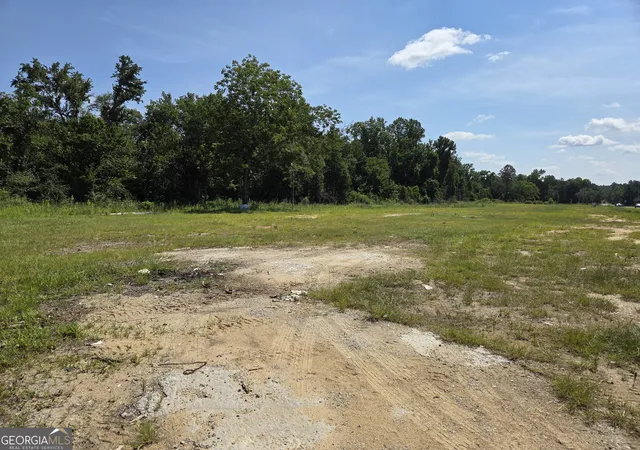 Homes for sale in Swainsboro, GA | 0 E Hwy 80, Swainsboro, GA 30401 | MLS# 10802211