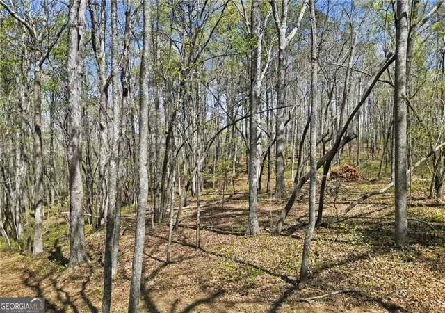 Photo 4 of Land for sale at 125 Heritage Plantation Dr, Ball Ground, GA 30107 | MLS# 10732196 | Listing updated on 2026-06-18