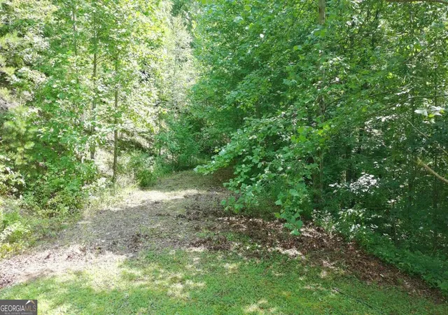 Photo 1 of Land for sale at 31 & 32 Wolfpen Gap Rd, Hiawassee, GA 30546 | MLS# 10815033 | Listing updated on 2026-08-12