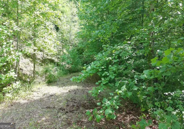Photo 2 of Land for sale at 31 & 32 Wolfpen Gap Rd, Hiawassee, GA 30546 | MLS# 10815033 | Listing updated on 2026-08-12