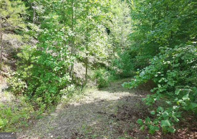 Photo 2 of Land for sale at 31 & 32 Wolfpen Gap Rd, Hiawassee, GA 30546 | MLS# 10815033 | Listing updated on 2026-08-12