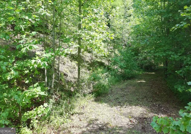 Photo 3 of Land for sale at 31 & 32 Wolfpen Gap Rd, Hiawassee, GA 30546 | MLS# 10815033 | Listing updated on 2026-08-12
