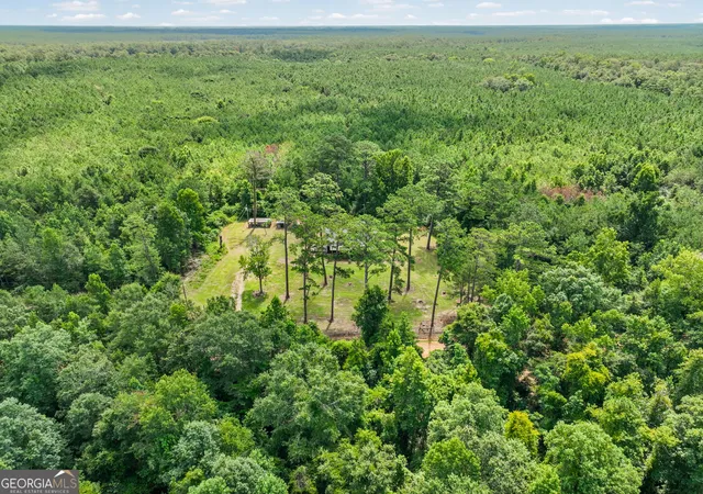 45th image of 3086 Dukes Creek Rd, Edison, GA 39846 | MLS# 10811661