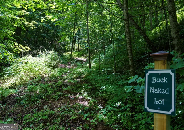 Homes for sale in Bryson City, NC | Lot Off Buck Naked #NA, Bryson City, NC 28713 | MLS# 10693796