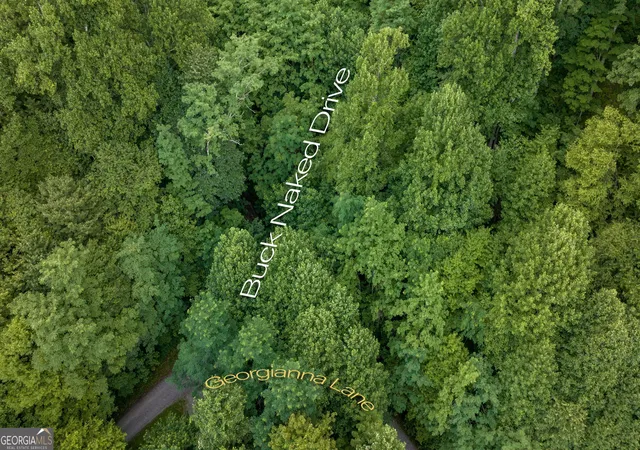 Homes for sale in Bryson City, NC | Lot Off Buck Naked #NA, Bryson City, NC 28713 | MLS# 10693796
