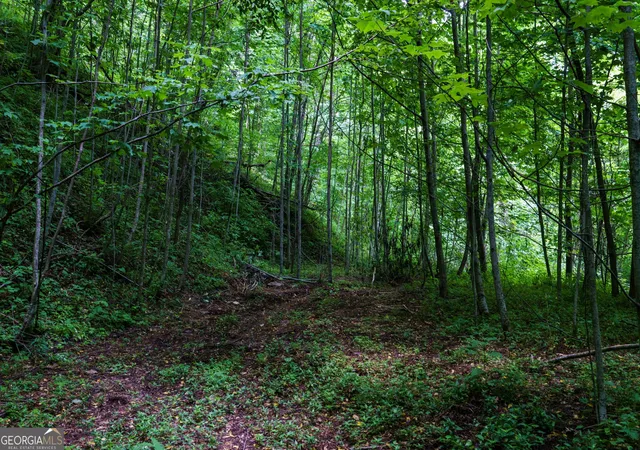 Homes for sale in Bryson City, NC | Lot Off Buck Naked #NA, Bryson City, NC 28713 | MLS# 10693796