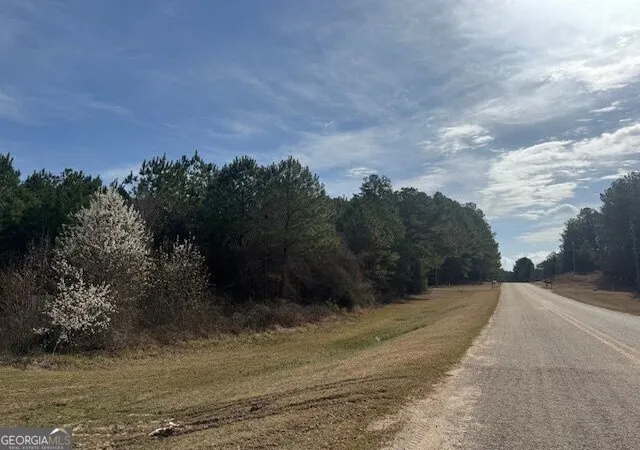Photo 1 of Land for sale at 39 Brush Creek Park Rd, Franklin, GA 30217 | MLS# 10833381 | Listing updated on 2026-08-26