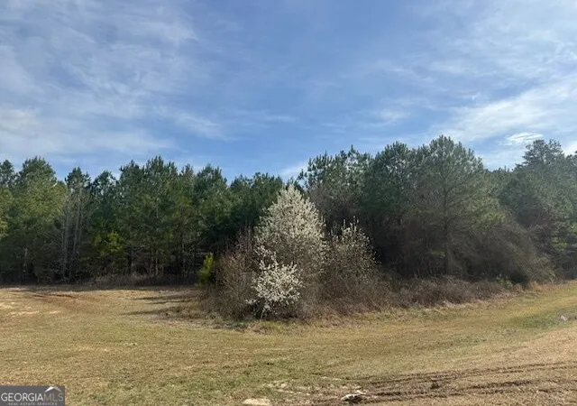 Photo 2 of Land for sale at 39 Brush Creek Park Rd, Franklin, GA 30217 | MLS# 10833381 | Listing updated on 2026-08-26
