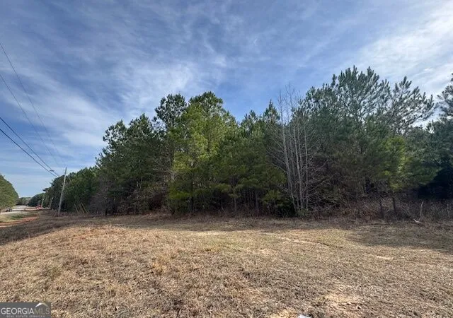 Photo 3 of Land for sale at 39 Brush Creek Park Rd, Franklin, GA 30217 | MLS# 10833381 | Listing updated on 2026-08-26