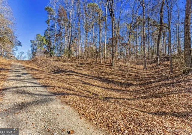 Photo 2 of Land for sale at 0 Mountain View Rd, Lavonia, GA 30553 | MLS# 10821707 | Listing updated on 2026-08-27