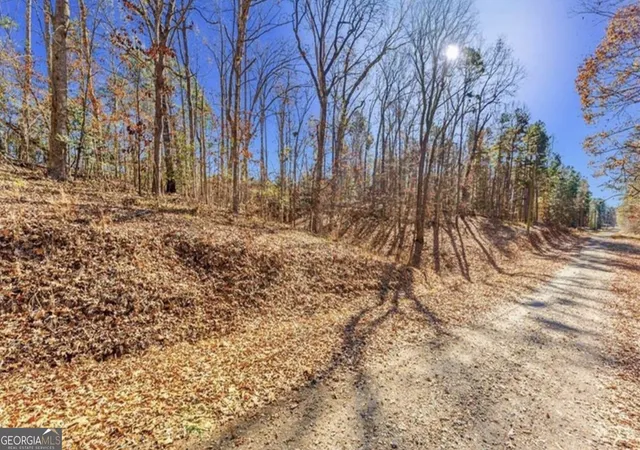 Photo 2 of Land for sale at 0 Mountain View Rd, Lavonia, GA 30553 | MLS# 10821707 | Listing updated on 2026-08-27
