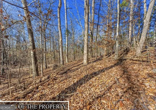 Photo 4 of Land for sale at 0 Mountain View Rd, Lavonia, GA 30553 | MLS# 10821707 | Listing updated on 2026-08-27