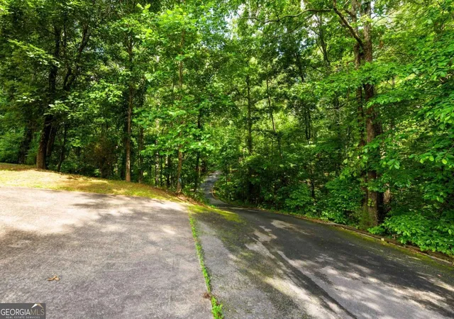 34th image of 546 Mount Pleasant Rd Ne, Fairmount, GA 30139 | MLS# 10825552