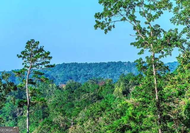 42nd image of Lot 50 Jakes Landing Wy, Ellijay, GA 30540 | MLS# 10819375