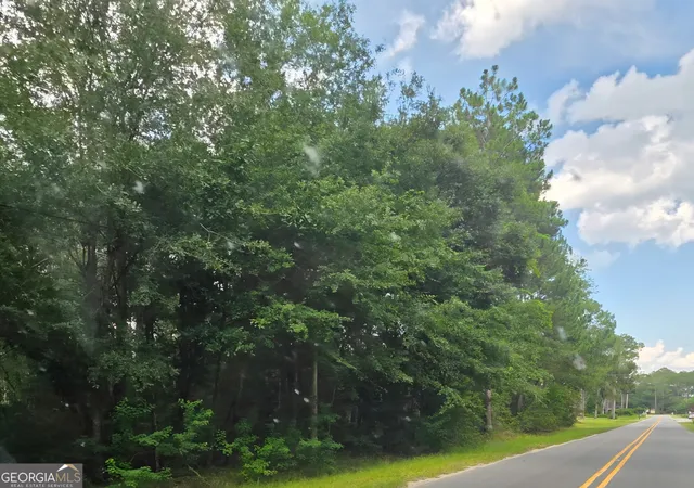 4th image of 0 Johnson St, Baxley, GA 31513 | MLS# 10813363