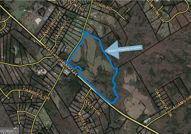 10th image of 1167 Hwy 142, Covington, GA 30014 | MLS# 10810745