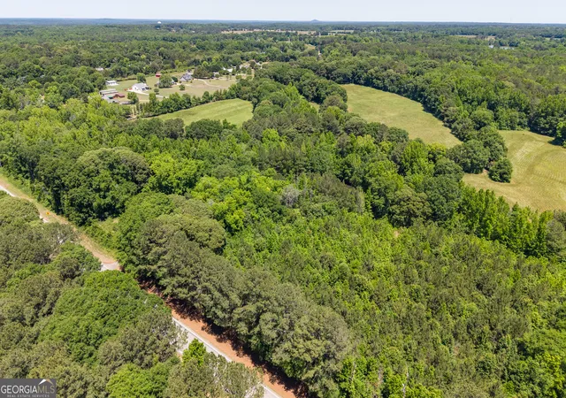 Photo 3 of Land for sale at 1167 Highway 142, Covington, GA 30014 | MLS# 10810745 | Listing updated on 2026-08-05