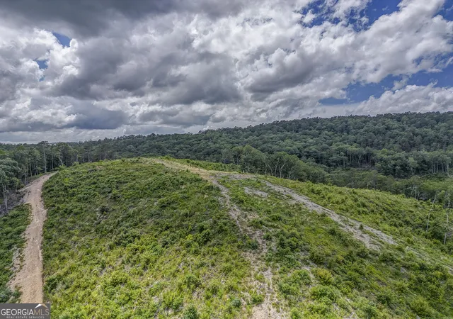 2nd image of 00 Big Texas Valley Rd Nw, Rome, GA 30165 | MLS# 10681966