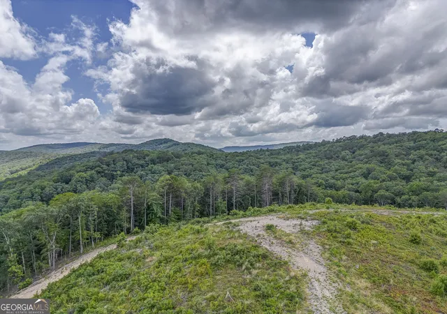 Photo 3 of Land for sale at 00 Big Texas Valley Rd Nw, Rome, GA 30165 | MLS# 10681966 | Listing updated on 2026-08-27