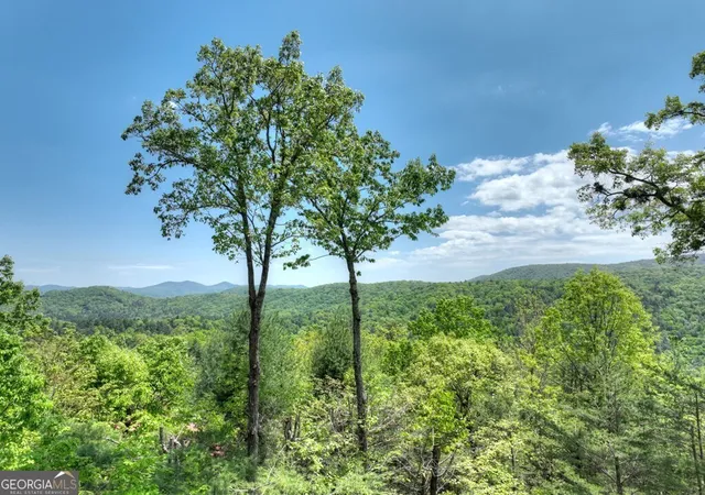 Homes for sale in Blue Ridge, GA | 46 Cochise Rd, Blue Ridge, GA 30513 | MLS# 10769469