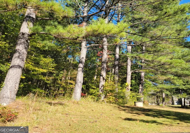 Photo 3 of Land for sale at 0 Bohannon, Grantville, GA 30220 | MLS# 10398969 | Listing updated on 2026-08-17
