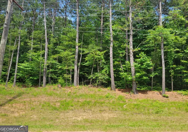 Photo 3 of Land for sale at 0 Bohannon, Grantville, GA 30220 | MLS# 10398969 | Listing updated on 2026-08-17