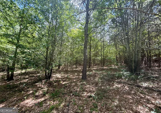 Photo 3 of Land for sale at 1421 NW Acres Irwin Brg Rd, Conyers, GA 30012 | MLS# 10795649 | Listing updated on 2026-07-30