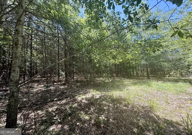 Photo 4 of Land for sale at 1421 NW Acres Irwin Brg Rd, Conyers, GA 30012 | MLS# 10795649 | Listing updated on 2026-07-30