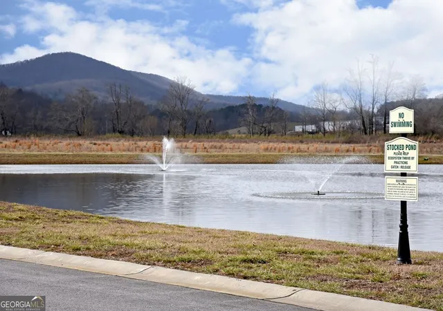 Homes for sale in Blairsville, GA | 101 Foggy Mtn Rd, Blairsville, GA 30512 | MLS# 10704818