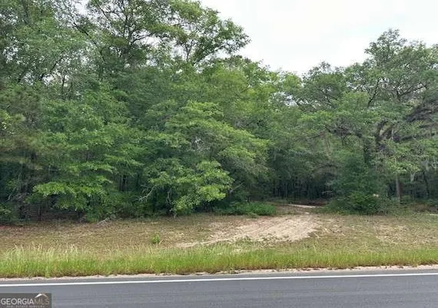 Photo 3 of Land for sale at 0 Old Louisville Rd, Guyton, GA 31312 | MLS# 10755454 | Listing updated on 2026-08-09