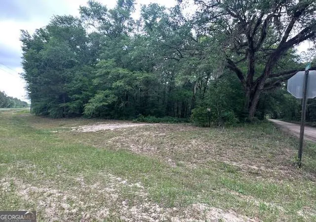 Photo 4 of Land for sale at 0 Old Louisville Rd, Guyton, GA 31312 | MLS# 10755454 | Listing updated on 2026-08-09