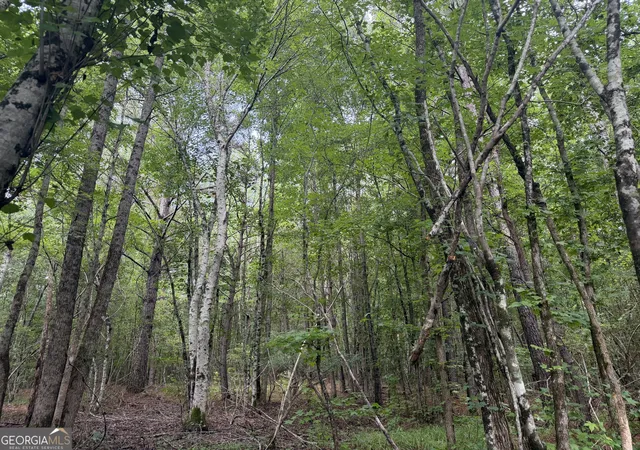 Homes for sale in Haleyville, AL | 004 County Rd 445, Haleyville, AL 35565 | MLS# 10801158