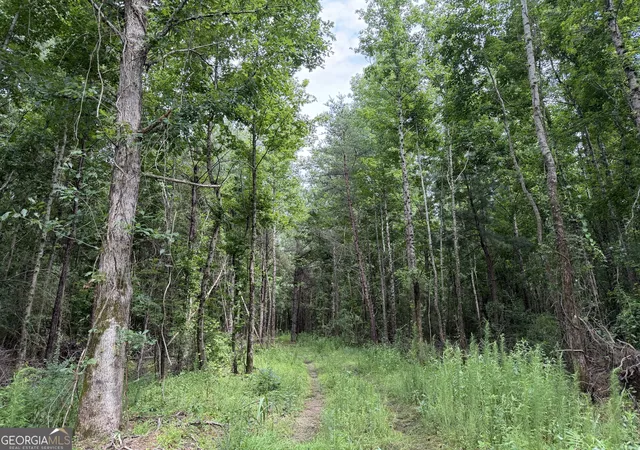 Homes for sale in Haleyville, AL | 004 County Rd 445, Haleyville, AL 35565 | MLS# 10801158