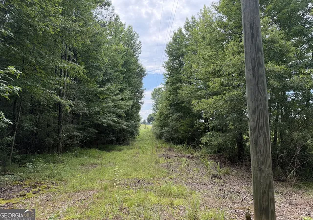 Homes for sale in Haleyville, AL | 004 County Rd 445, Haleyville, AL 35565 | MLS# 10801158
