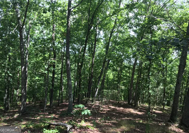 3rd image of 0 Damascus Rd, Ball Ground, GA 30107 | MLS# 10791338