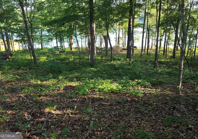 2nd image of Lot 1 Pointe Sidney Dr, Hartwell, GA 30643 | MLS# 10779514