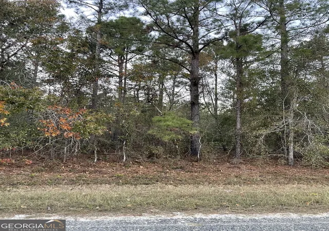 Photo 3 of Land for sale at 0 Shuffletown Rd, Twin City, GA 30471 | MLS# 10642528 | Listing updated on 2026-04-27
