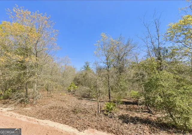 Photo 1 of Land for sale at 0 Mixon Ln, Douglas, GA 31535 | MLS# 10819381 | Listing updated on 2026-09-01
