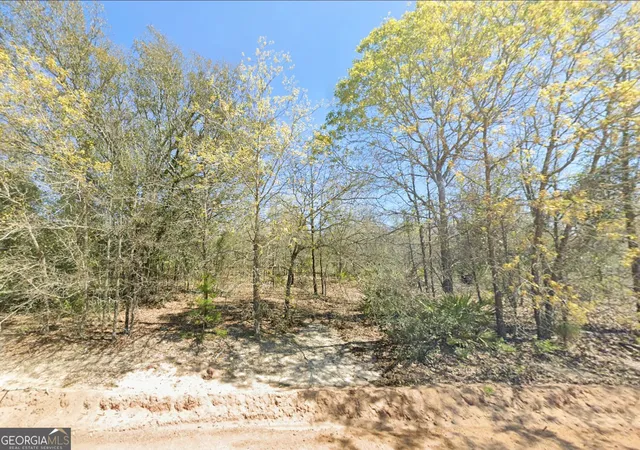 Photo 2 of Land for sale at 0 Mixon Ln, Douglas, GA 31535 | MLS# 10819381 | Listing updated on 2026-09-01