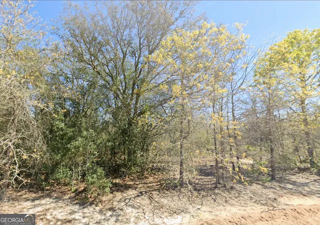 Photo 3 of Land for sale at 0 Mixon Ln, Douglas, GA 31535 | MLS# 10819381 | Listing updated on 2026-09-01